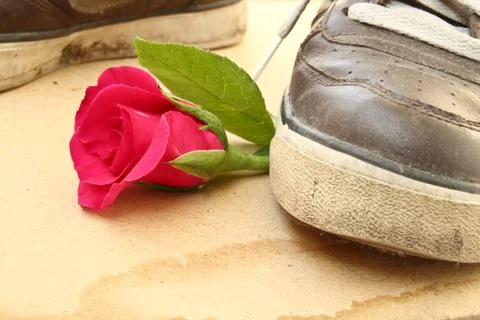 Shoe trample rose Stock Illustration