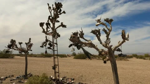 Shoe Tree Video stock 152173711