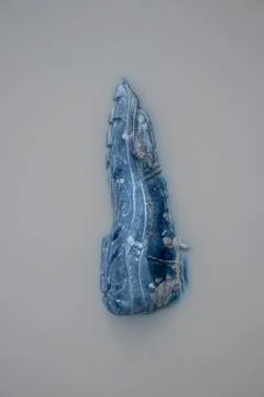 A shoe in the water. Stock Photos