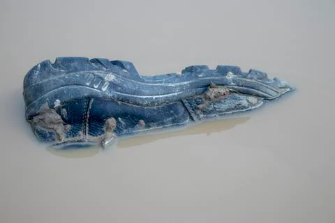 A shoe in the water. Stock Photos