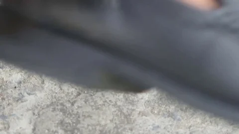 Shoemaker is cleaning shoes Stock Footage 70539540