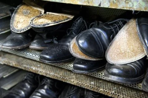 Shoemaker Stock Photos