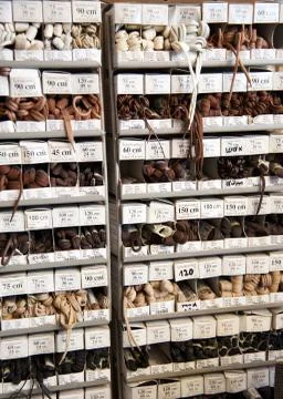 Shoemaker Stock Photos