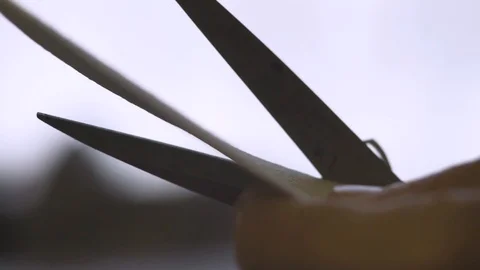 Shoemaker work process Stock Footage 106420145