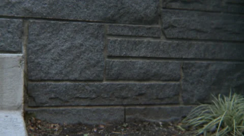 Shoes 7 Stock Footage 23429183