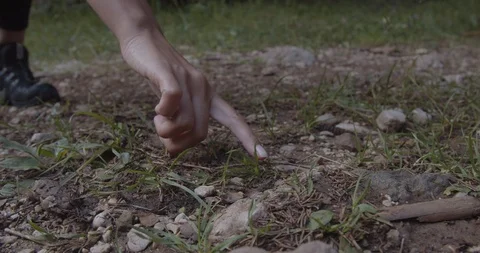 Shoes and hands close up, touching a jumping tiny frog Stock Footage 118377484