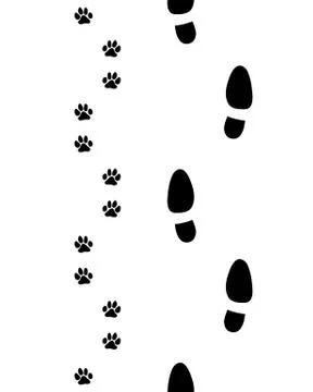 Shoes and paws Stock Illustration