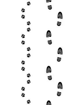 Shoes and paws Stock Illustration