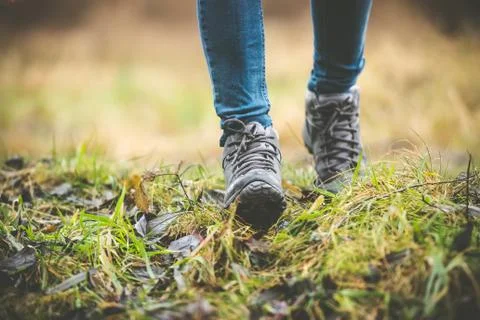 Shoes in a forest Stock Photos