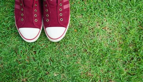 Shoes on Grass Stock Photos