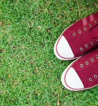 Shoes on Grass Stock Photos