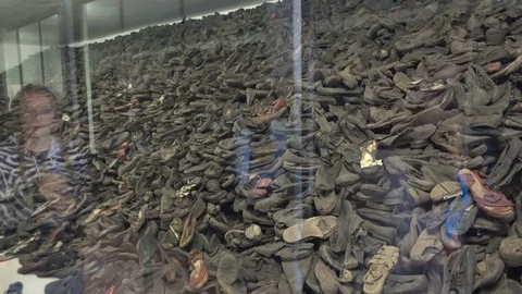 Auschwitz Museum Stock Footage Royalty Free Videos Pond5