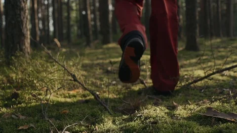 Shoes a man walks through the forest Stock Footage 108218455
