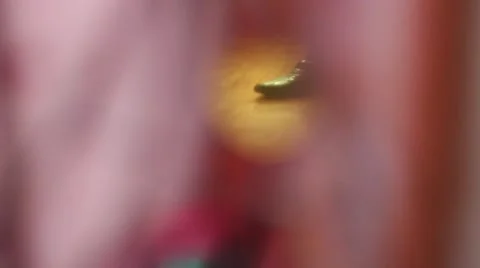 Shoes in mirror reflection 스톡 동영상 51111423