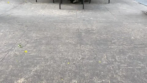 Shoes pasing by Stock Footage 321924764