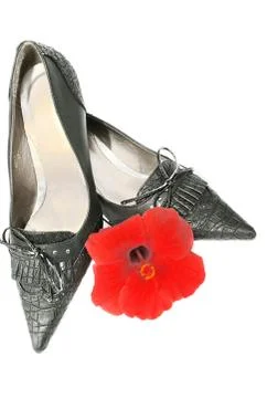 Shoes Foto stock
