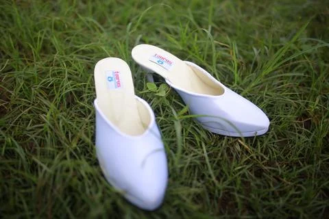 The Shoes 写真素材