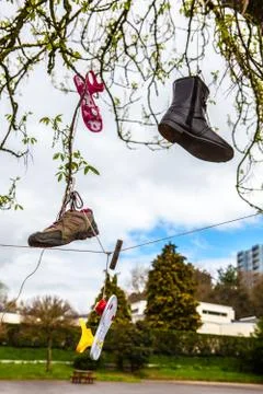 Shoes in the tree of a schoolyard Stock Photos