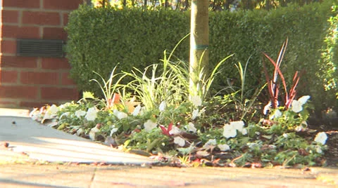 Shoes Walking 3 Stock Footage 23426416