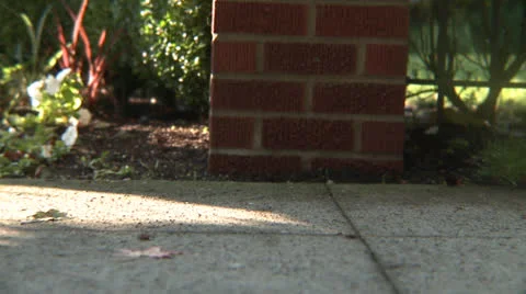 Shoes Walking 4 Stock Footage 23424690