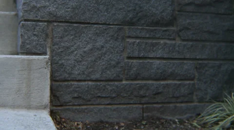 Shoes Walking 8 Stock Footage 23425316