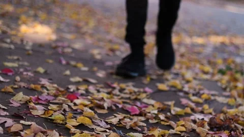 Shoes walking on fall leaves Stock Footage 149194450