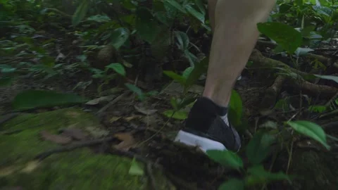 Shoes Walking In Forest, Slow Motion Stock Footage 154500536