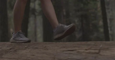 Shoes Walking On Log In The Forest Stock Footage 160024067