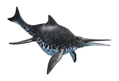 Shonisaurus Stock Illustration