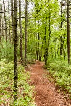 Shoolman Preserve trail Stock Photos
