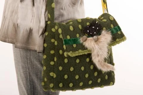 Shooping-bag Stock Photos