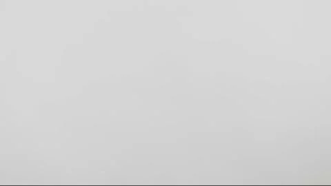 Shoot Stock Footage 153034497