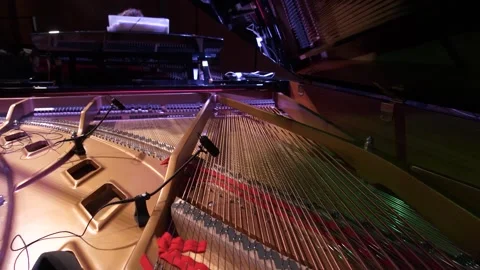 Shoot of the inside of a piano, cords, movement Stock Footage 152171686