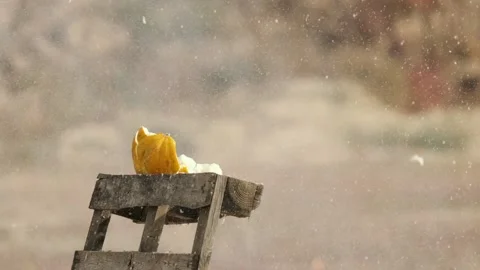 Shoot at a melon that explodes into small pieces Stock Footage 168612396