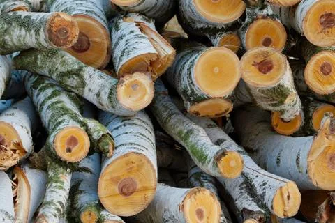A shoot of stack of birch logs for firewood Foto stock