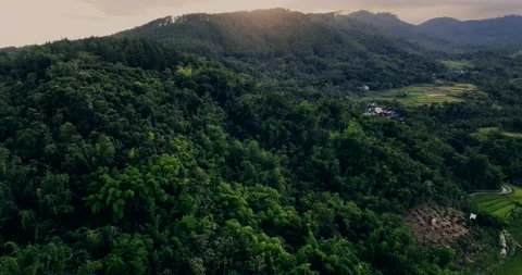 Shoot of sunset over forest and mountains Stock Footage 230137007