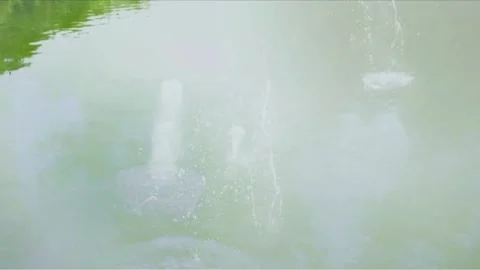 Shoot at the water Stock Footage 235267817