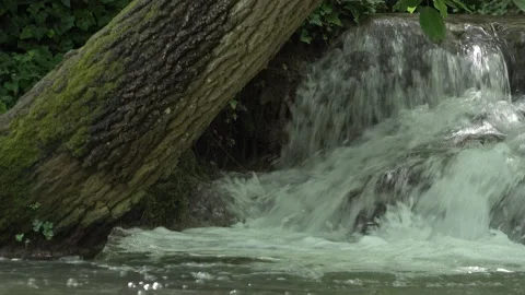 Shoot a waterfall behind a tree, 4K Stock Footage