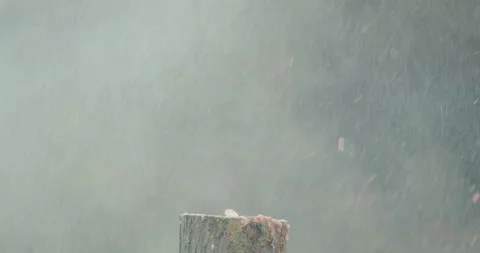 Shoot at a watermelon that explodes into small pieces. Slow motion 4k video Stock Footage 139965077