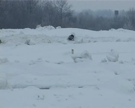 Shooter Stockbeeldmateriaal 22033986