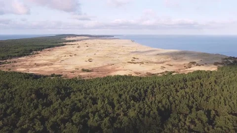 Shooting from above the forest strip towards the sand pit Video stock 152831753