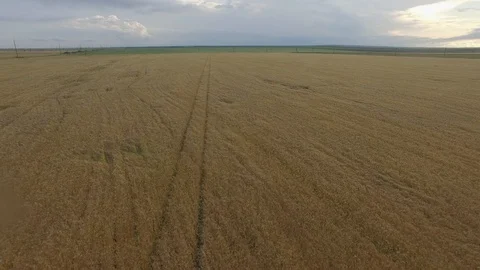 Shooting from the air of agricultural fields 動画素材 113404174
