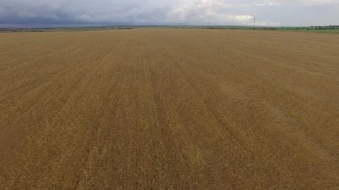 Shooting from the air of agricultural fields Stock Footage 113404239