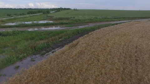 Shooting from the air of agricultural fields 動画素材 113404346