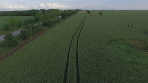 Shooting from the air of agricultural fields Video stock 113404368