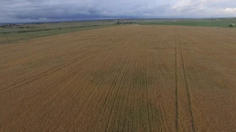 Shooting from the air of agricultural fields Stock Footage 113404498