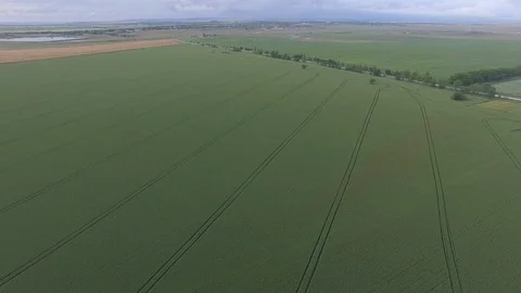 Shooting from the air of agricultural fields Stock Footage 113404741