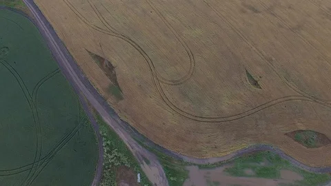 Shooting from the air of agricultural fields Vídeo Stock 113404816