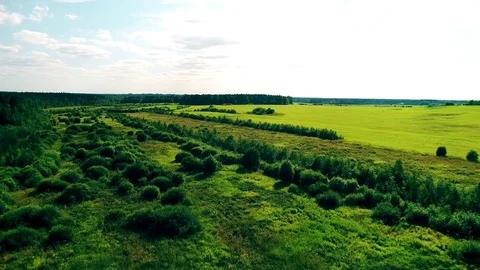 Shooting from the air on the drone. Beautiful fields and trees. Stock Footage 85247392