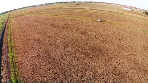 Shooting from air drone. Green farm of camels in Australia Video stock 74832953